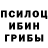 Псилоцибиновые грибы Psilocybe Alex Gonzago