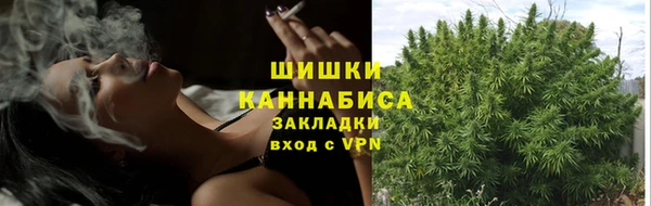 apvp Инсар