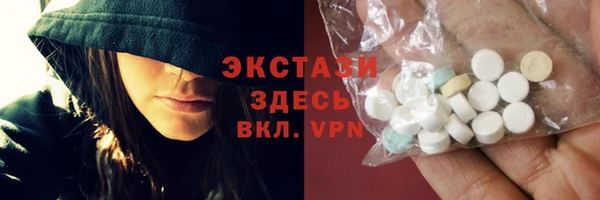 гидра Инта
