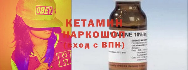 гидра Инта