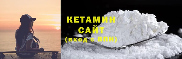 гидра Инта