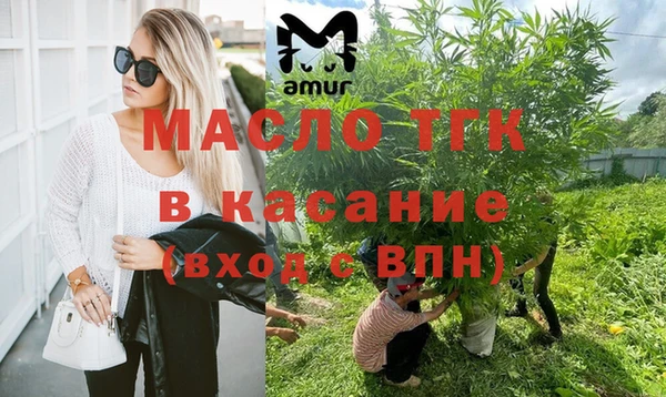 гидра Инта