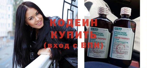 apvp Инсар