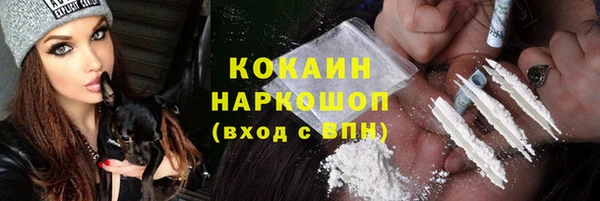 apvp Инсар