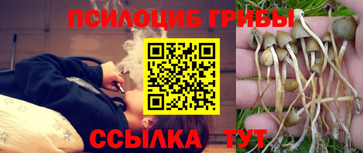 Галлюциногенные грибы мицелий  что такое наркотик  Рязань  Вход с VPN 